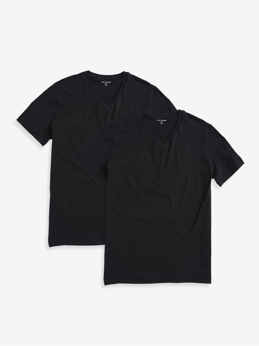 Classic V-Neck Driggs 2-Pack tees