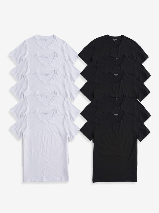 Classic V-Neck Driggs 10-Pack Black/White bdl10_men_v_neck_tee tees