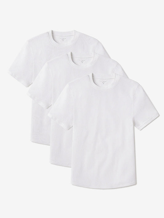 Cotton Waffle Curved Hem Crew 3-Pack White Crew tees